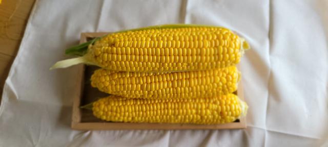 迷你世界远古巨像秒杀方法 真正的一秒钟秒杀