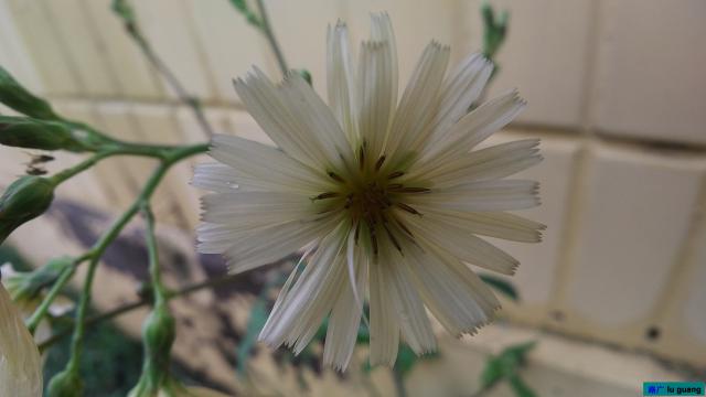 宫爆老奶奶10w-15w视频欣赏