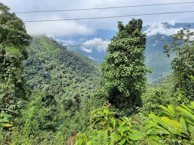 天天风之旅美美哒属性与技能介绍