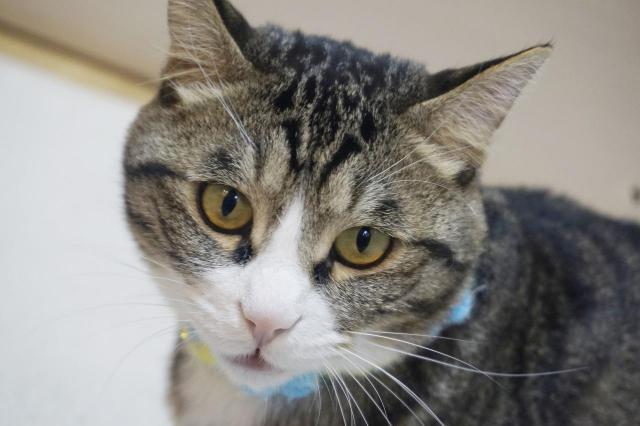 刺激战场枪硬只是战术基础 地利才是吃鸡王道