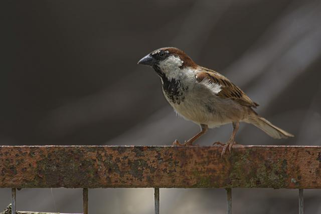 幸福的日子里有你的陪伴 这所谓就是花香