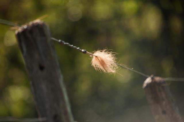 大掌门关于限制等级的一些玩家建议