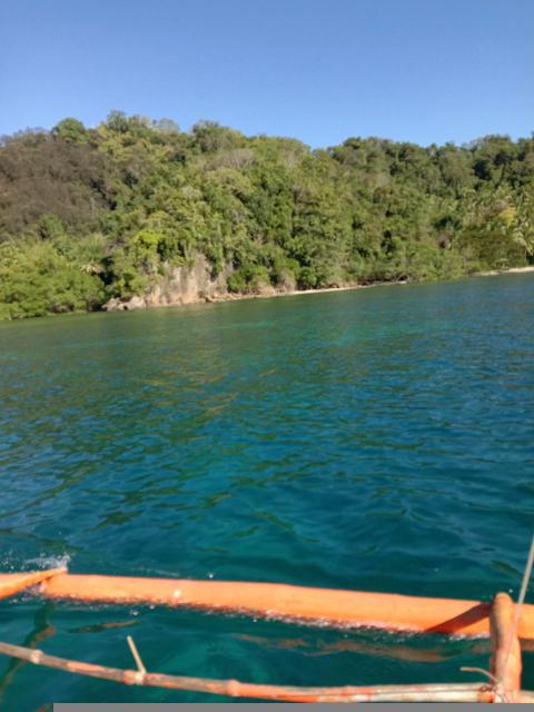 宝可梦大探险开局最强阵容搭配分享