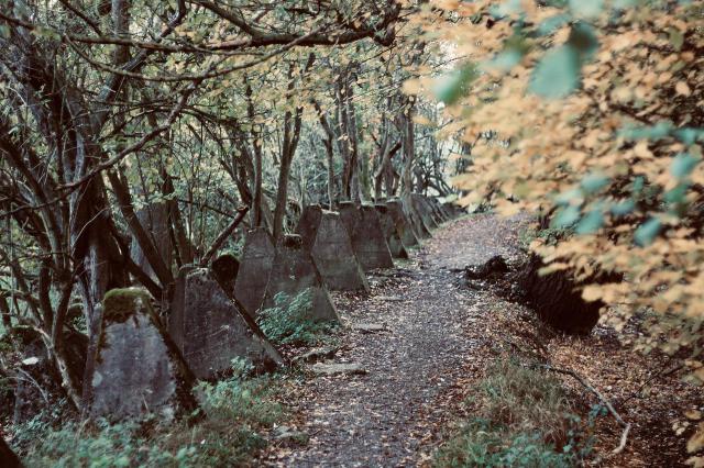 暴走大冒险关卡等待坦克走远陷阱攻略 暴走大冒险关卡等待坦克走远陷阱攻略