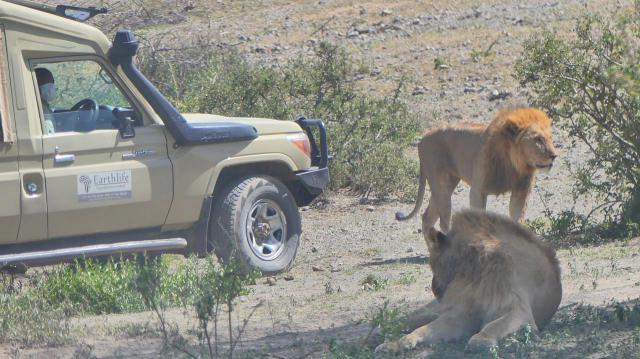 泰拉瑞亚寻找蜂巢地牢探险小F的双人生存实况P5