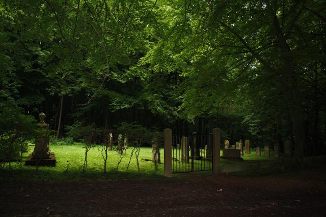 伤害非常恐怖 荒野行动毒圈应对指南