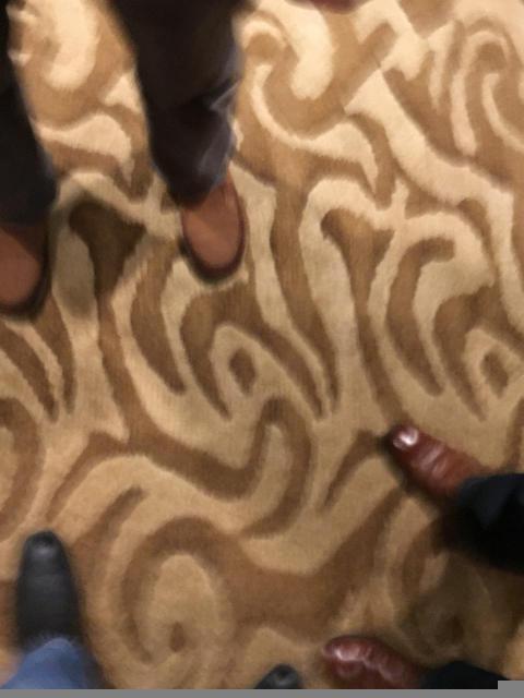 疯狂动物园最新地图极地试玩精彩视频