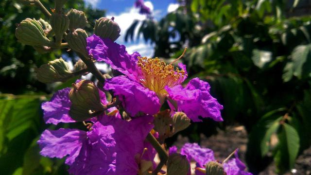 光荣使命开局一把刀吃鸡全靠砍只能是个梦想