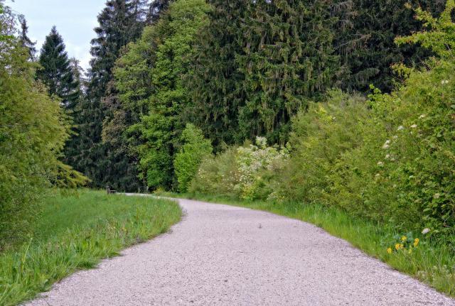 天天炫斗娱乐时间分享菜鸟闯关视频
