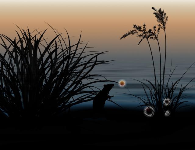 我的世界现实与魔法的冲突和共融 魔法基础