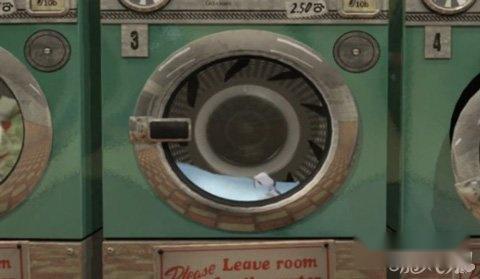 滚滚熊上架在即有点呆蠢又有点神奇 第3张 滚滚熊上架在即有点呆蠢又有点神奇 第3张