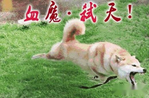 DNF红眼是最完美的职业？这些缺点都是致命的存在 第3张