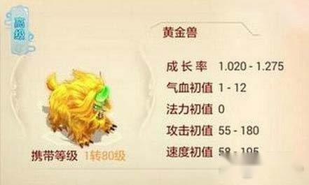 大话西游手游黄金兽几种加点方案推荐