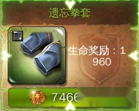 地牢猎手4战斗大师装备手套之遗忘拳套