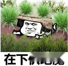 绝地求生刺激战场这些术语都不明白你怎么开黑 第2张