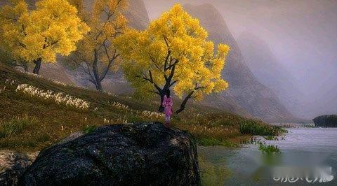 九阴真经手游移花宫之争文争武斗获胜攻略 第2张