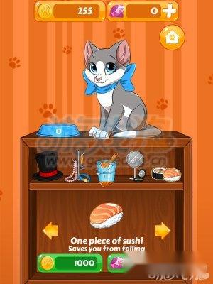 地毯猫金币速刷新手教程全新分享 第4张