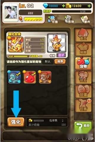 叽哩咕噜宠物系统强化步骤内容解析及关键汇总