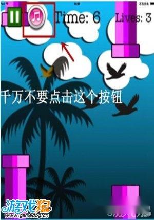 飞扬的小鸟攻略 新手操作技巧分享 第3张 飞扬的小鸟攻略 新手操作技巧分享 第3张