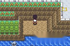 口袋妖怪漆黑的魅影梦世界联盟冠军攻略 第13张