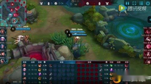 谁说女子不如男 王者荣耀TKG老虎花木兰出装 第2张