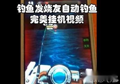 钓鱼发烧友自动钓鱼完美挂机的视频攻略