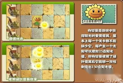 植物大战僵尸2向日葵使用心得 植物大战僵尸2向日葵使用心得