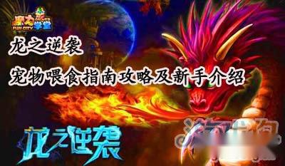 龙之逆袭宠物喂食指南攻略及新手介绍