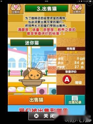 猫咪咖啡馆攻略养猫指南汇总分享 第5张