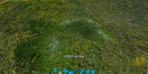 镰刀是第一生产力 方舟进化生存材料纤维获取 第2张