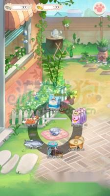 猫宅日记攻略轻松吸引猫咪技巧全解 第2张