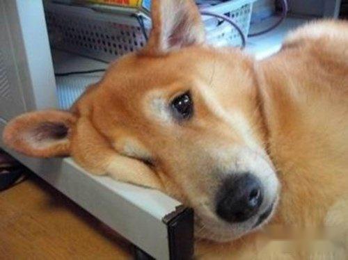 王者荣耀封神时代开启 杨戬你狗带了吗 第4张